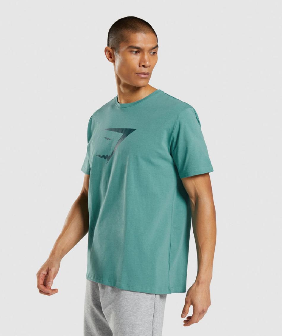 T Shirts Gymshark Sharkhead Infill Hombre Turquesa | CO 3419MQZ